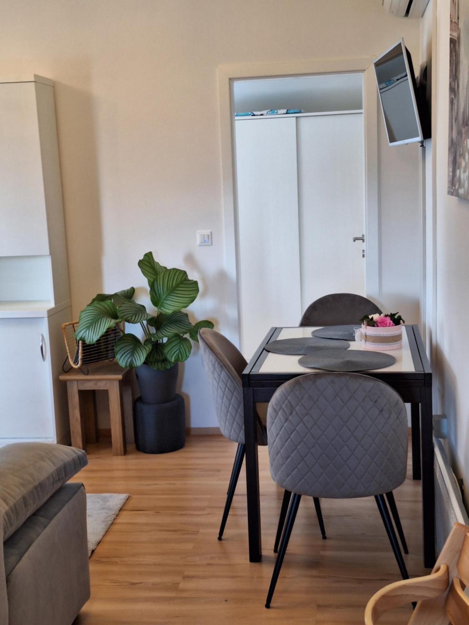 Apartment Dorina Buje Exterior photo