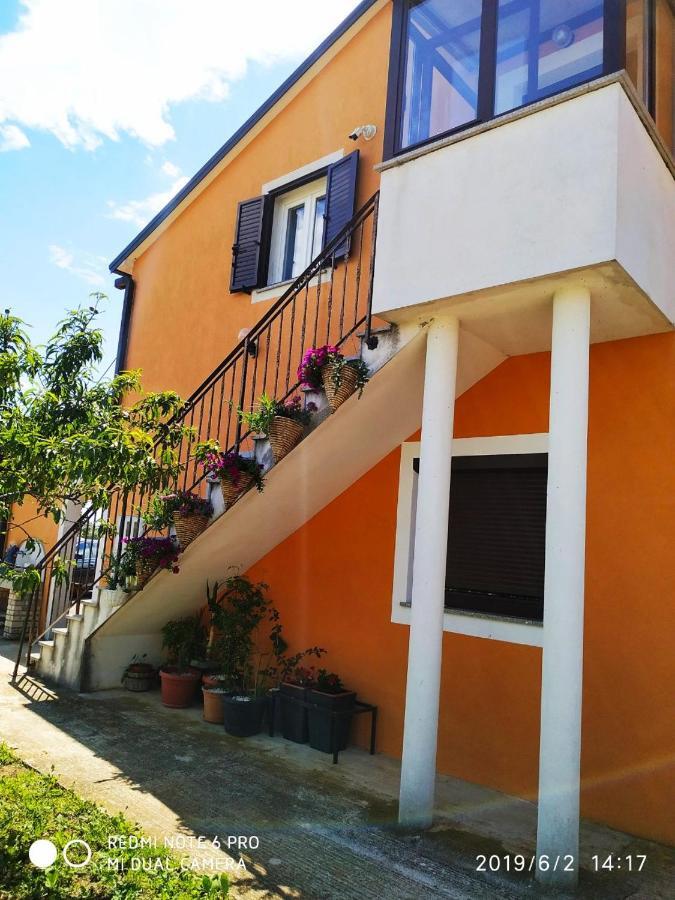 Apartment Dorina Buje Exterior photo